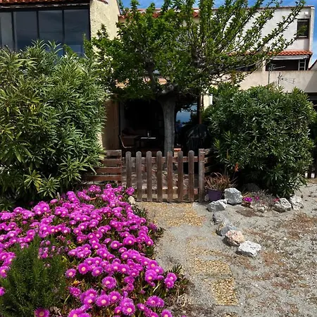 Pure Marina - Marina