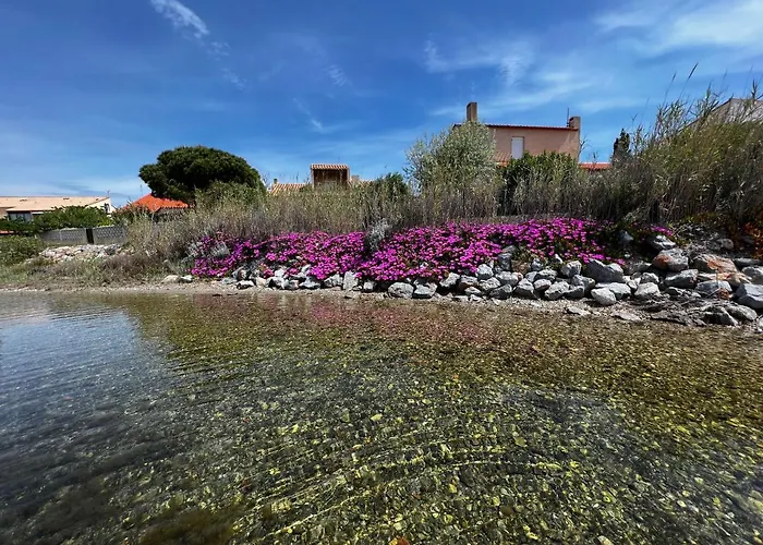 Pure Marina - Marina * لوسات