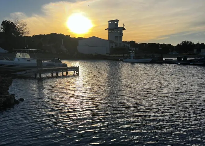 Pure Marina - Marina